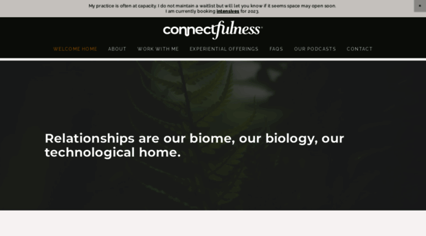 connectfulness.com