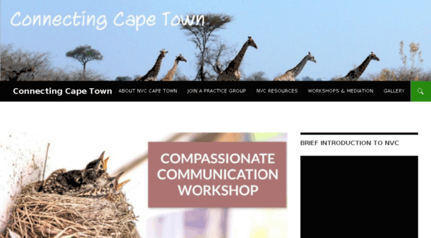 connectingcapetown.org