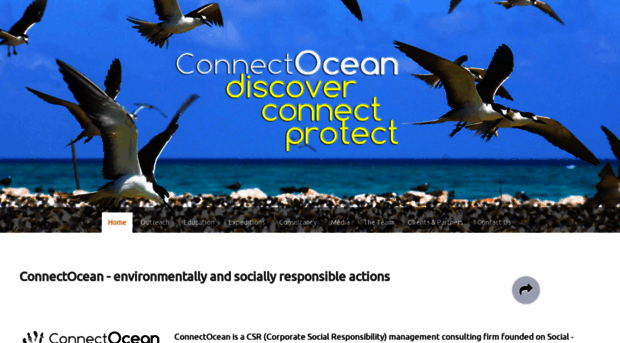 connectocean.com