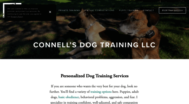 connellsdogtraining.com