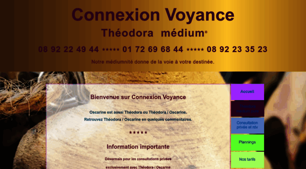 connexion-voyance.com