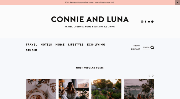 connieandluna.com