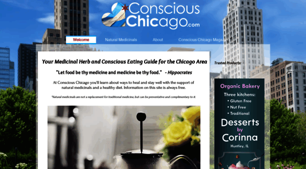 consciouschicago.com