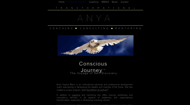 consciousjourney.com