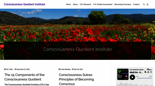 consciousness-quotient.com