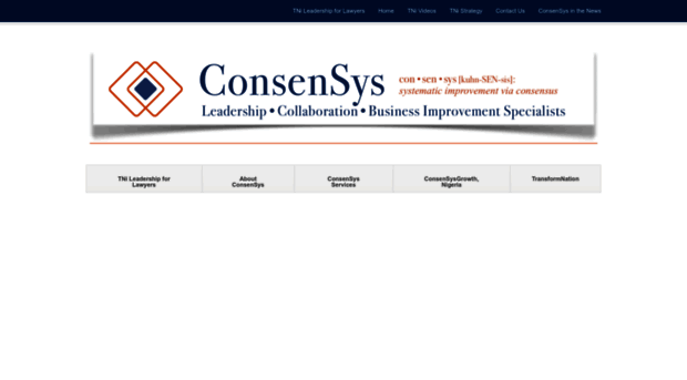 consensysgroup.com