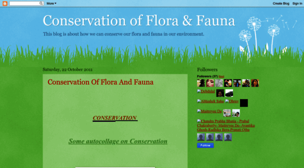 conservation-of-flora-and-fauna.blogspot.com