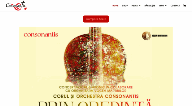 consonantis.ro