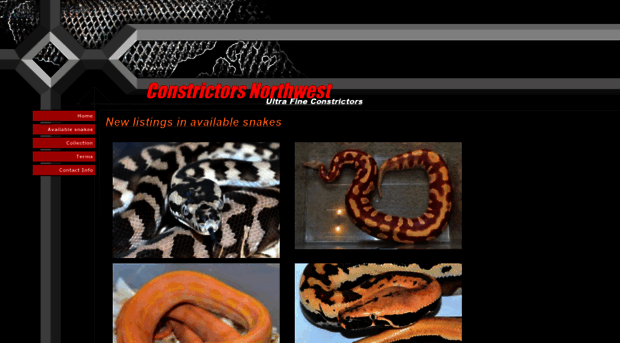 constrictorsnw.com