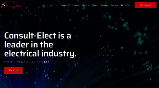 consult-elect.com