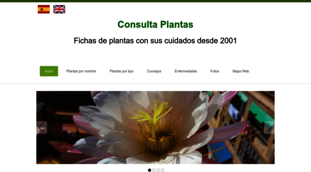 consultaplantas.com