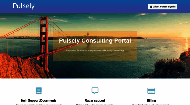 consulting.pulsely.com