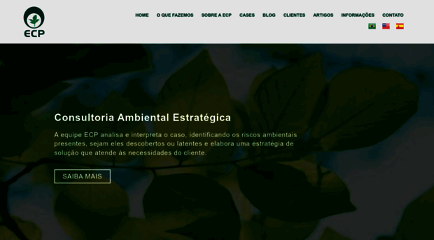 consultoriaambiental.com.br