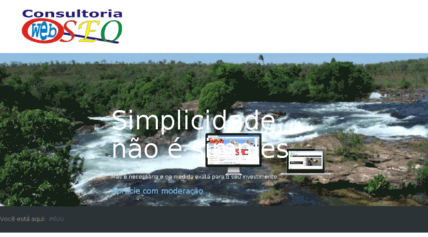 consultoriawebseo.com