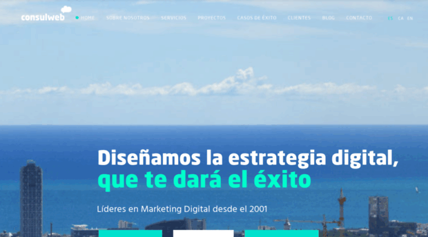 consulweb.net