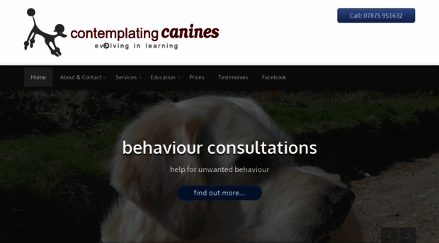 contemplatingcanines.com