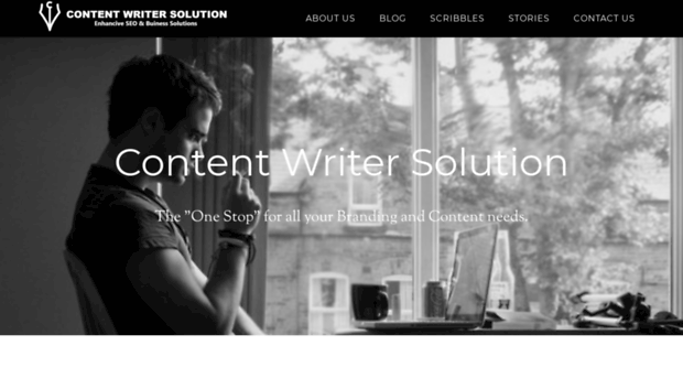 contentwritersolution.com