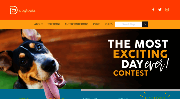 contest.dogtopia.com