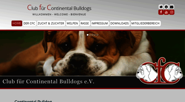 continental-bulldog-club.eu