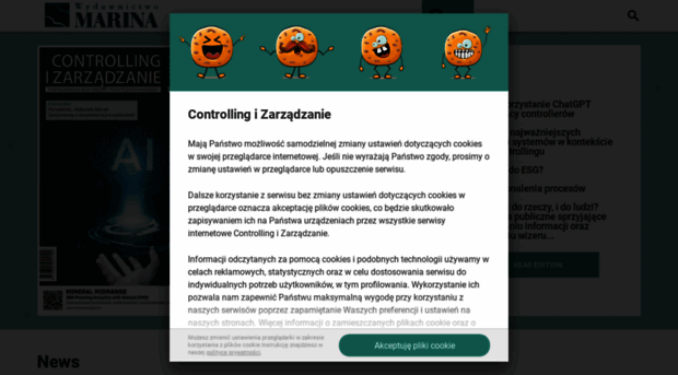 controlling-zarzadzanie.pl