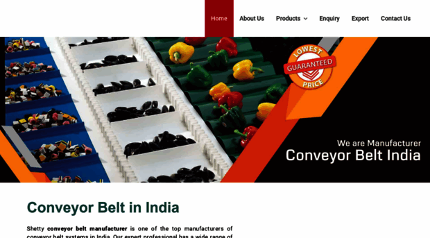 conveyor-belt-india.com