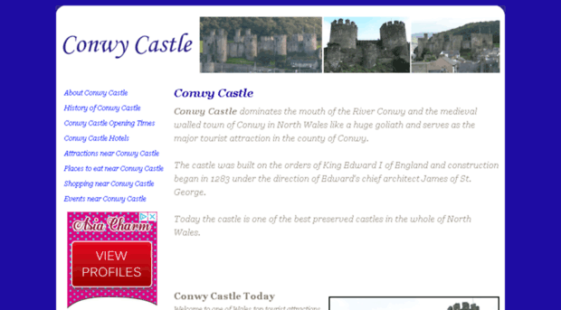 conwy-castle.co.uk