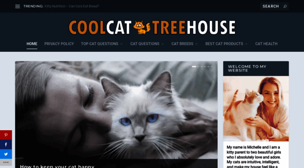 coolcattreehouse.com