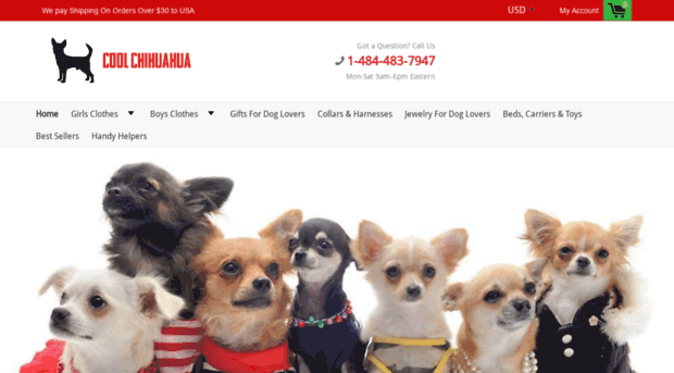 coolchihuahua.com