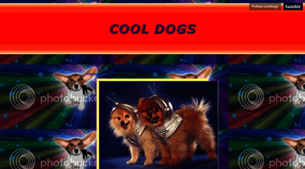 cooldogs.cool