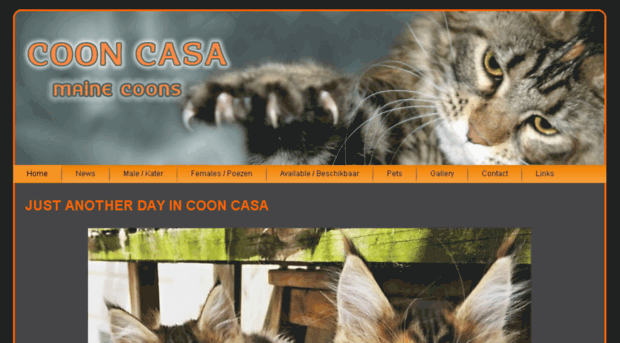 cooncasa.nl