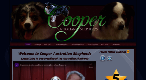 cooperaustralianshepherds.com