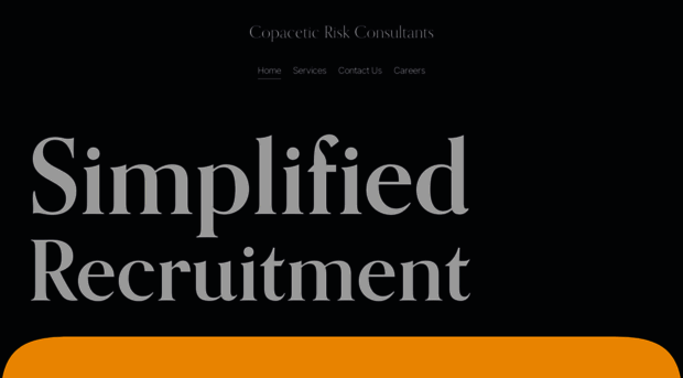 copaceticriskconsultants.co.uk