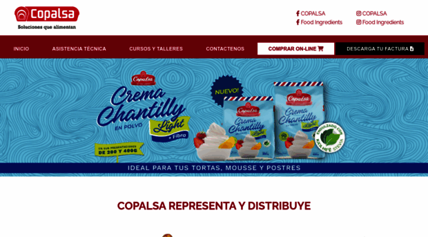 copalsa.com.py