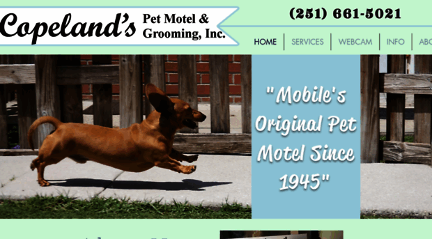 copelandspetmotel.com