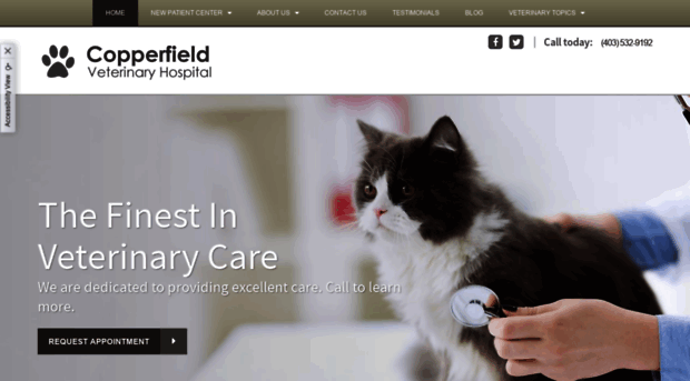 copperfieldvet.com