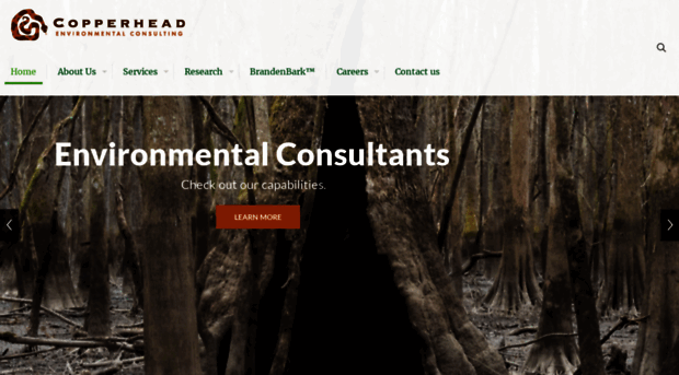 copperheadconsulting.com