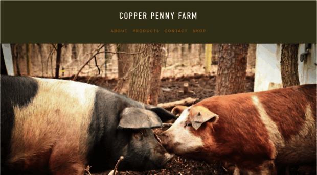 copperpennyfarm.net