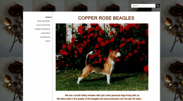 copperrosebeagles.com