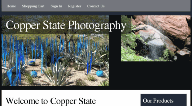 copperstatephotography.biz