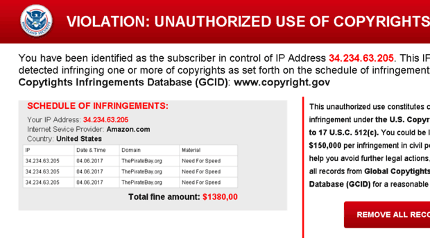copyrightinfringements.net