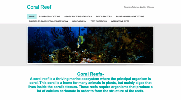 coralreefbrawner.weebly.com