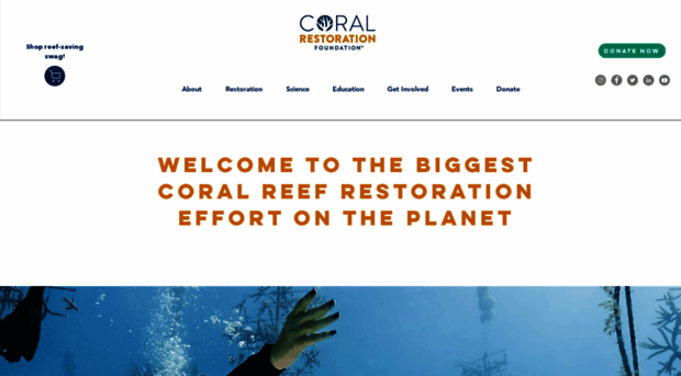 coralrestoration.org