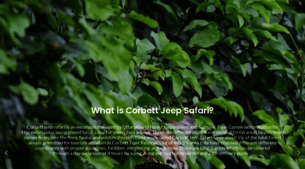 corbettjeepsafari.net