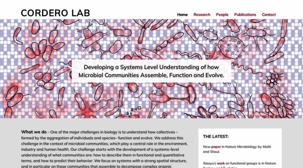 corderolab.org