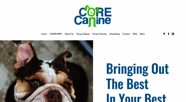 corecanine.com