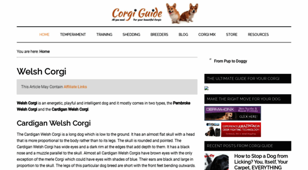 corgiguide.com