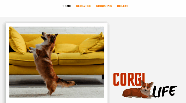 corgilife.com