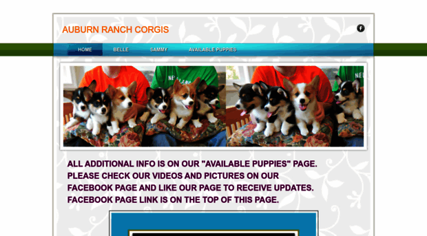 corgipuppy.weebly.com