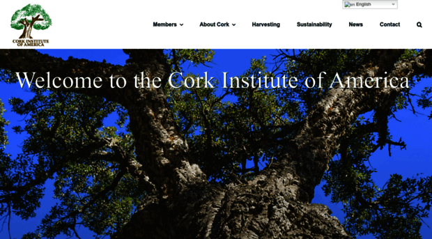 corkinstitute.com