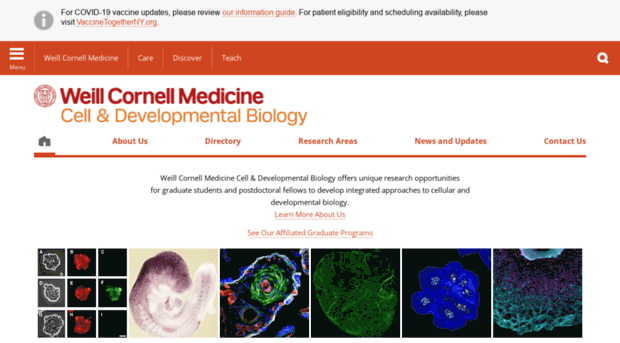 cornellcelldevbiology.org